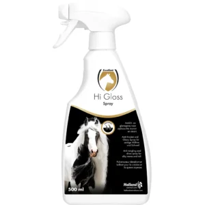 Hi Gloss Glanzspray