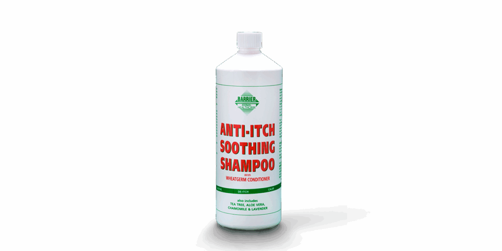 Anti Itch Soothing Shapoo