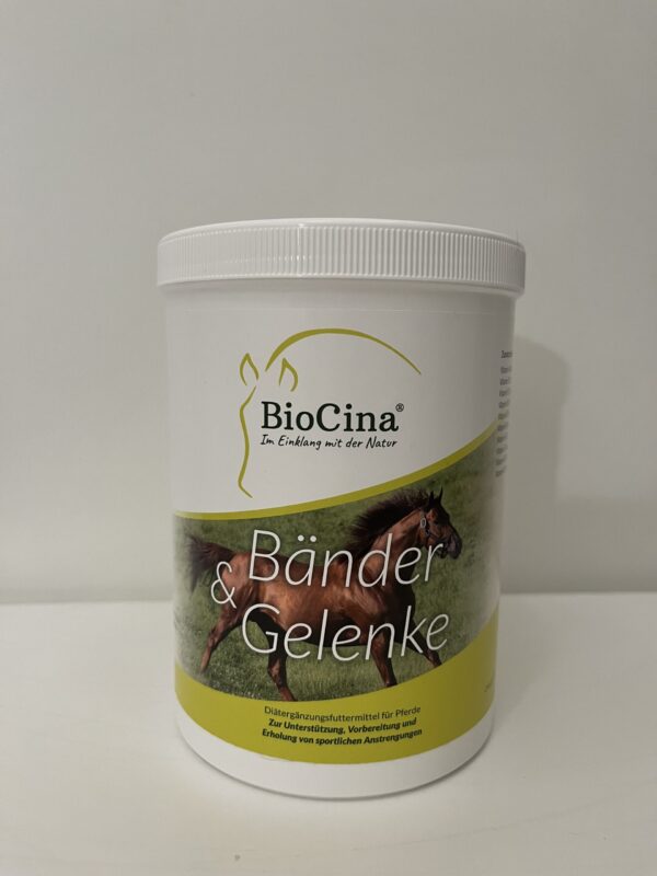 Bänder & Gelenke 1000 g