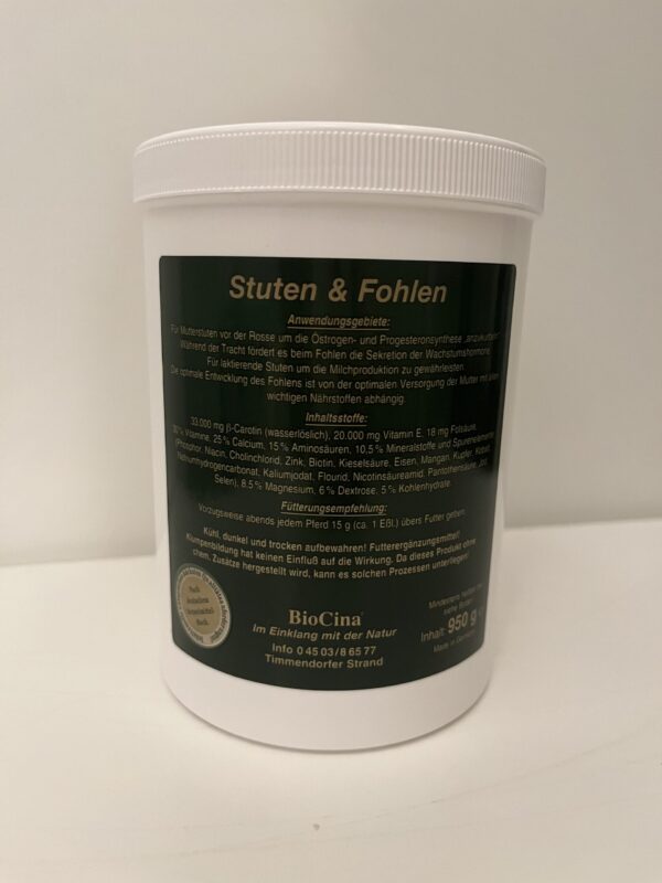 Stute & Fohlen 1000 g