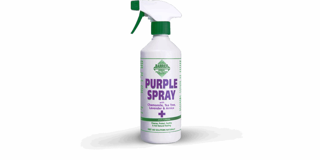 Purpel Spray 500 ml