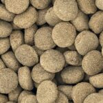 Luna´s Choice - Adult