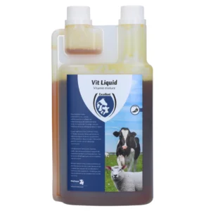 Vit Liquid Multivitamin 1 Liter