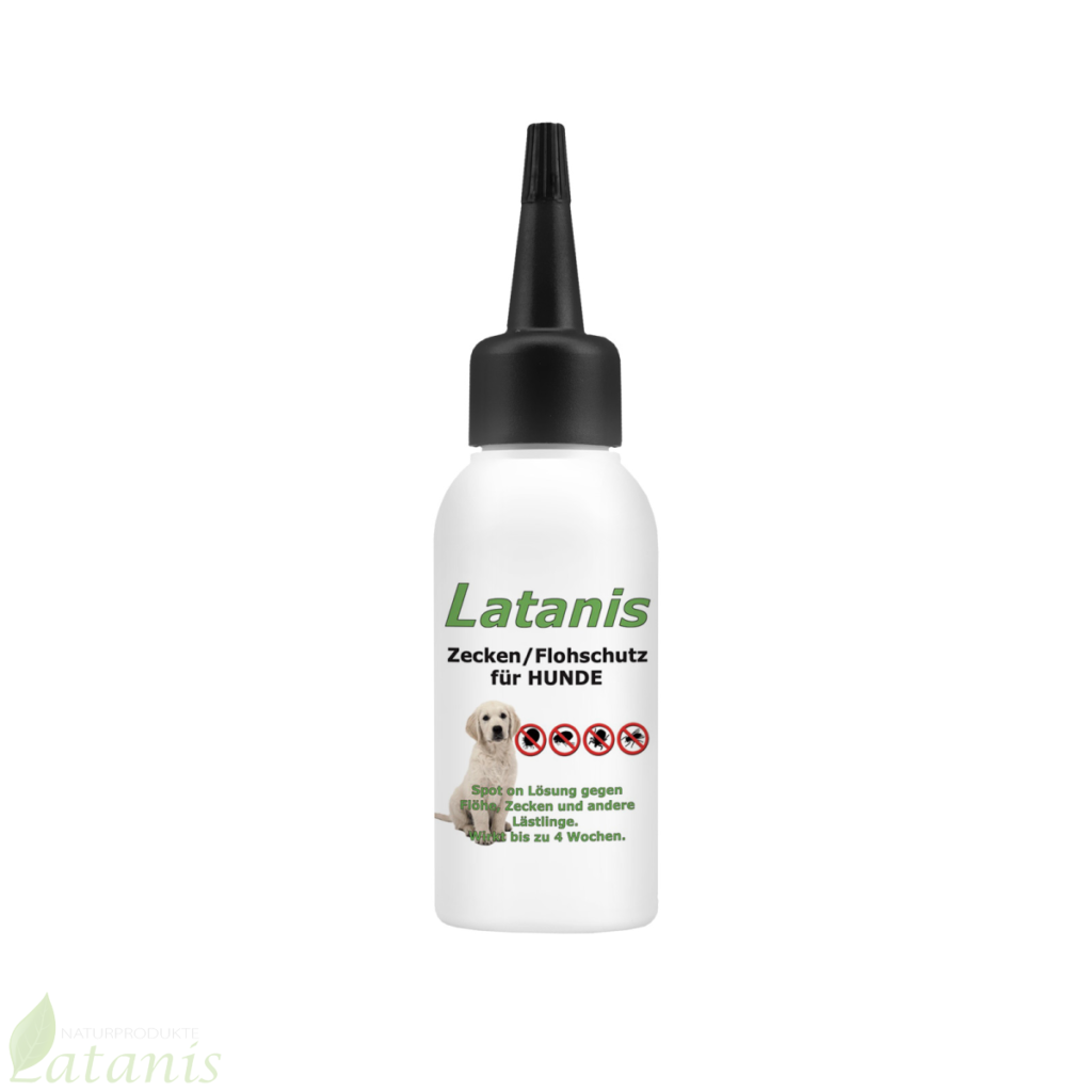 Latanis - Spot on
