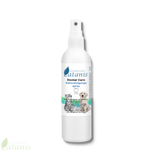 Dental Care Zahnreinigungsspray