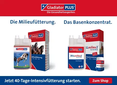 banner-gp-zm-pferd